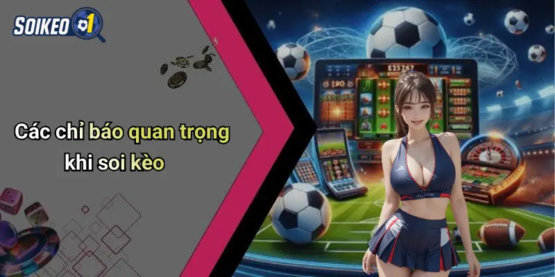 Các chỉ báo quan trọng khi soi kèo