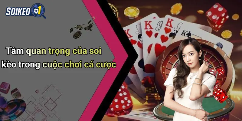 Tầm quan trọng của soi kèo trong cuộc chơi cá cược