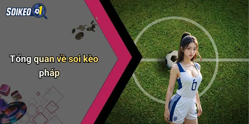 Tổng quan về soi kèo pháp