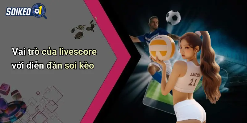Vai trò của livescore với diễn đàn soi kèo
