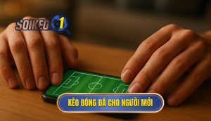thumb - kèo bóng đá cho người mới